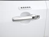  Drivers Side Door handle photo