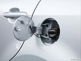  Gas cap open photo
