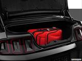  Trunk props photo