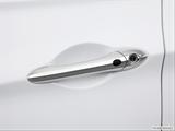  Drivers Side Door handle photo