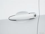  Drivers Side Door handle photo