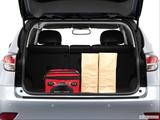  Trunk props photo