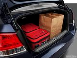  Trunk props photo