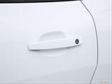  Drivers Side Door handle photo
