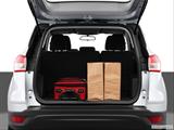  Trunk props photo