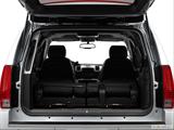  Hatchback & SUV rear angle photo