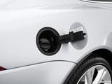  Gas cap open photo