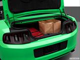  Trunk props photo