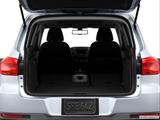  Hatchback & SUV rear angle photo