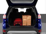  Trunk props photo