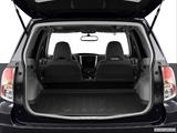  Hatchback & SUV rear angle photo