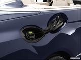  Gas cap open photo