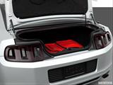  Trunk props photo