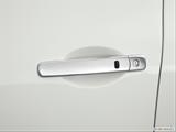  Drivers Side Door handle photo
