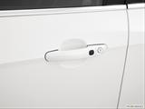  Drivers Side Door handle photo