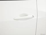  Drivers Side Door handle photo
