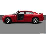  Driver's side profile with drivers side door open photo