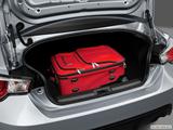  Trunk props photo