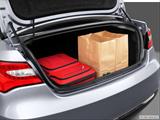  Trunk props photo