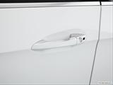  Drivers Side Door handle photo