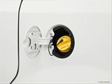 Gas cap open photo