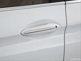  Drivers Side Door handle photo