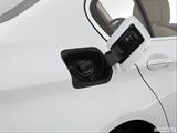  Gas cap open photo