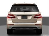  Low/wide rear photo