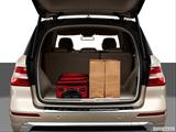  Trunk props photo