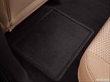  Rear driver's side floor mat. Mid-seat level from outside looking in photo