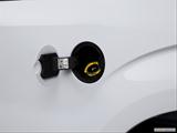 Gas cap open photo