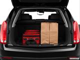  Trunk props photo