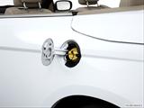  Gas cap open photo