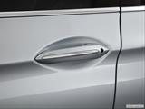  Drivers Side Door handle photo