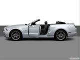  Driver's side profile with drivers side door open photo
