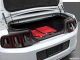  Trunk props photo