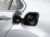  Gas cap open photo