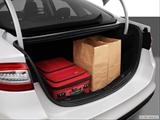  Trunk props photo