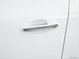  Drivers Side Door handle photo