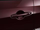  Drivers Side Door handle photo
