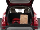  Trunk props photo