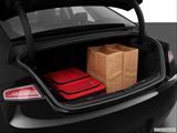  Trunk props photo