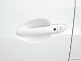  Drivers Side Door handle photo