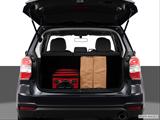  Trunk props photo