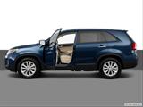  Driver's side profile with drivers side door open photo
