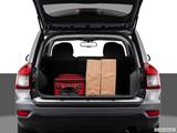  Trunk props photo