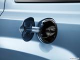  Gas cap open photo