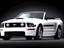 2009 Ford Mustang