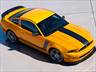 2013 Ford Mustang Boss 302  Photo