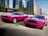 2010 Dodge Challenger Furious Fuschia Editions